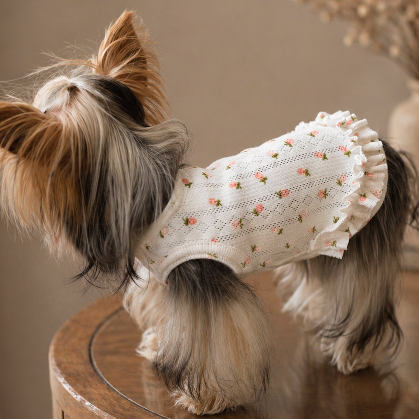 Pointelle Knit Vest with Rosebud Print
