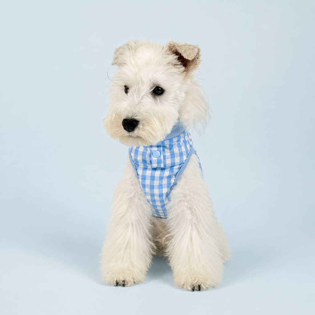 Blue Gingham Daily Tank