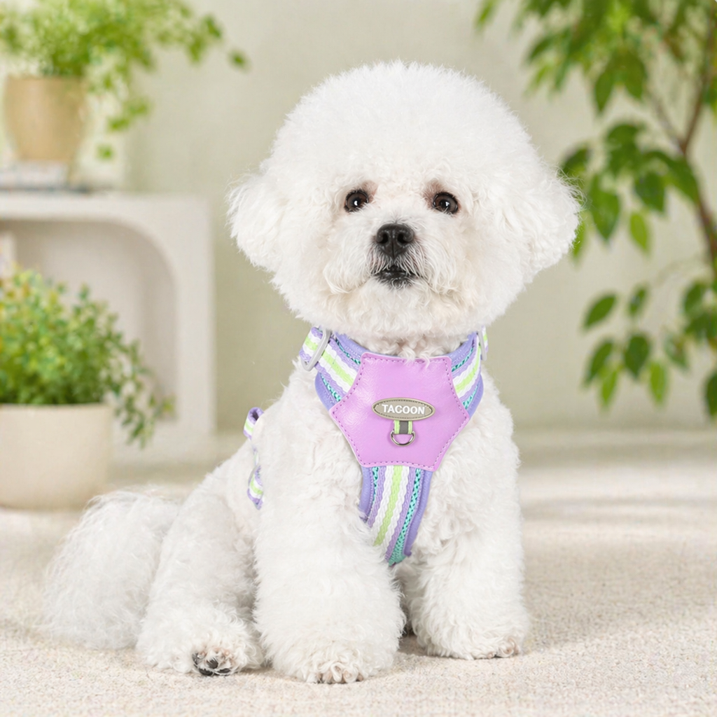 Pastel Stripe Harness Set