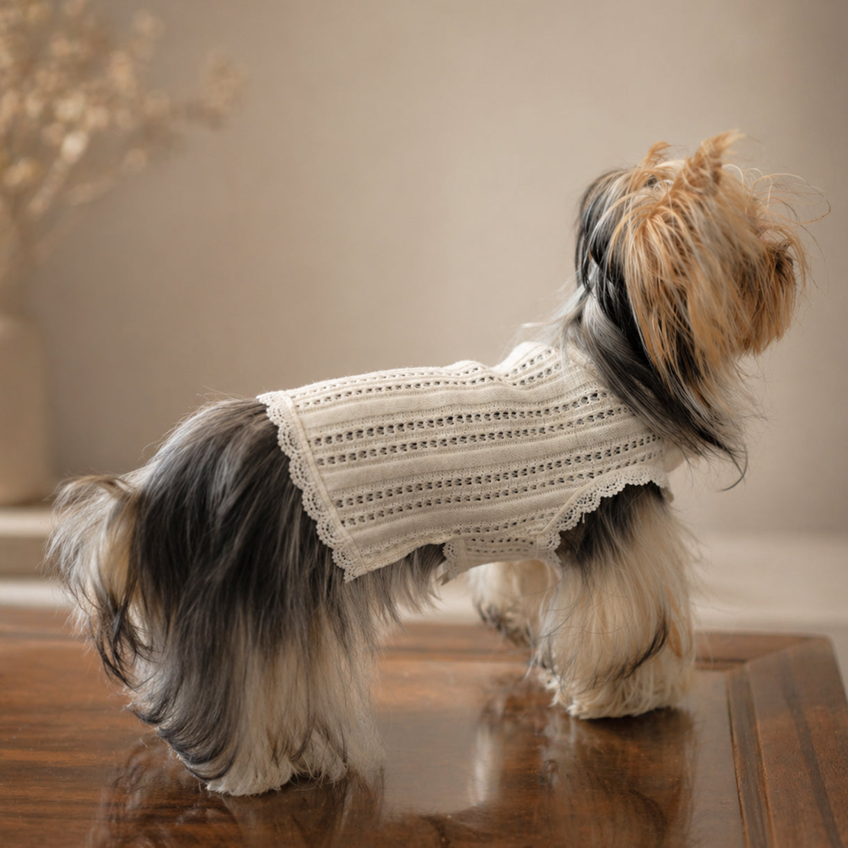 Pointelle Knit Vest with Lace Trim