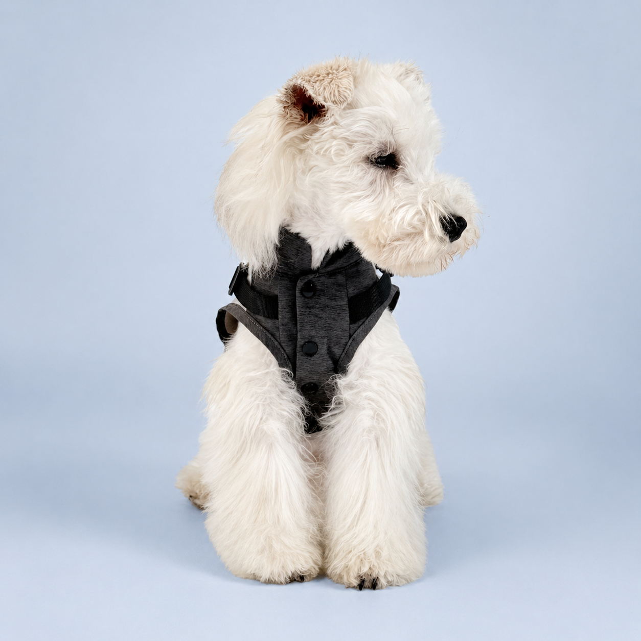 Walk-Ready Harness Vest