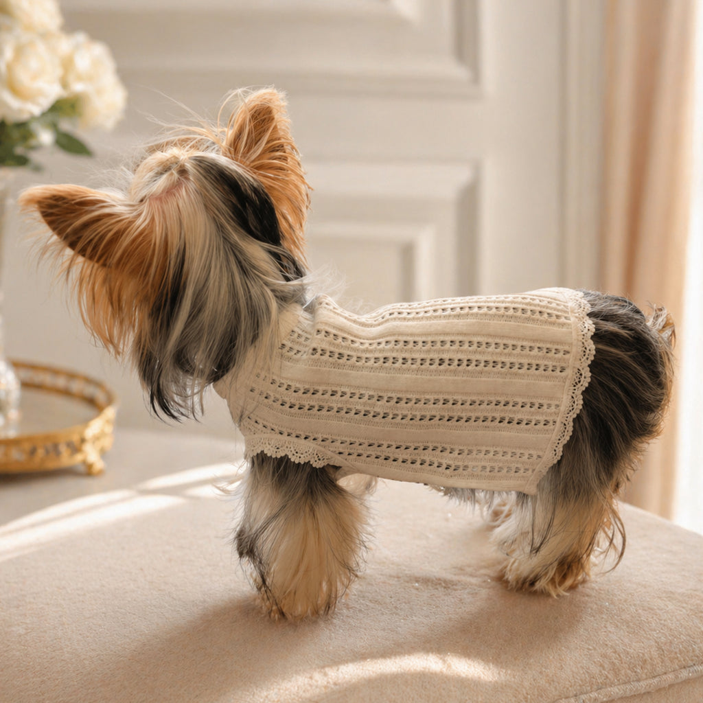 Pointelle Knit Vest with Lace Trim