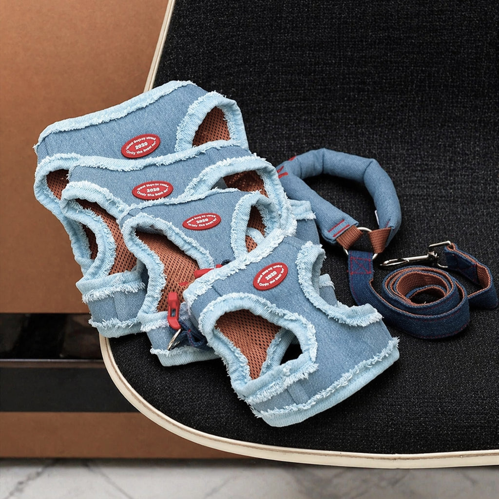 Denim Harness & Leash Set