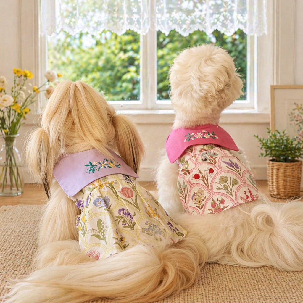 Embroidered Floral Dress with Scarf Collar