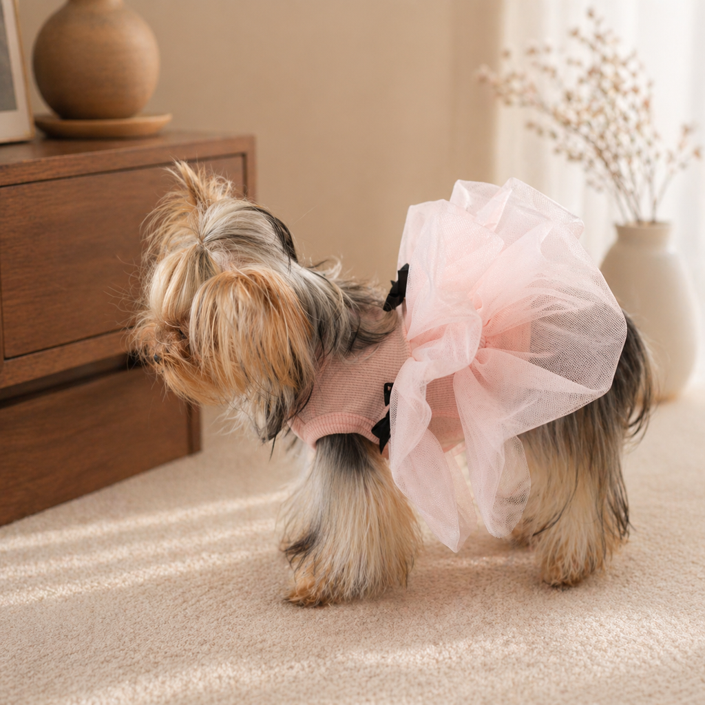Tulle Tutu Dress with Bow Detail
